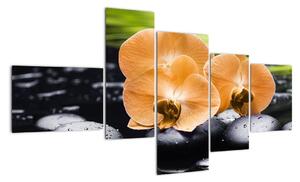 Modern kép - virágok (150x85cm)