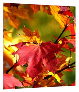 Őszi levelek képe (30x30 cm)