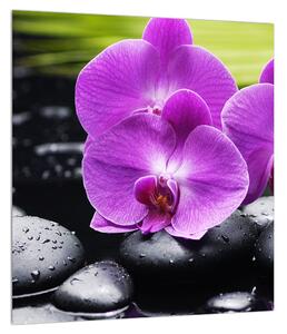 Orchideák képe (30x30 cm)