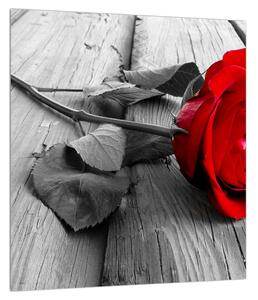 Vörös rózsa képe (30x30 cm)