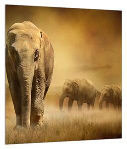 Elefánt képe (30x30 cm)