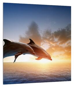 Delfinek képe (30x30 cm)