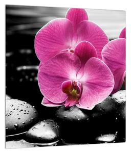 Orchidea virágok képe (30x30 cm)