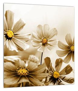 Virágos képek (30x30 cm)