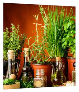 Gyógynövények és fűszerek képe (30x30 cm)