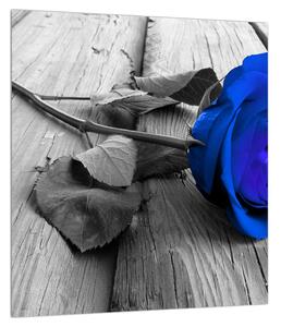 Kék rózsa képe (30x30 cm)