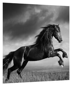 Fekete fehér lovas kép (30x30 cm)