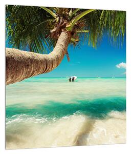 Kristálytiszta tenger és a pálmafa képe (30x30 cm)