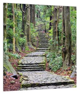 Kő lépcsők az erdőben (30x30 cm)