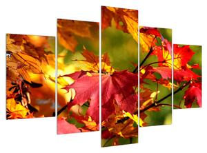 Őszi levelek képe (150x105 cm)