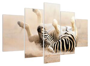 Fekvő zebra képe (150x105 cm)