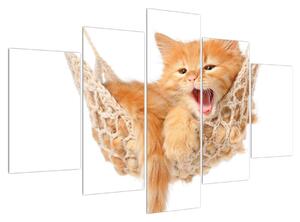 Macska a hálóban (150x105 cm)