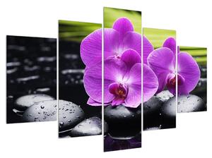 Orchideák képe (150x105 cm)