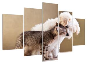 Macska és kutya képe (150x105 cm)