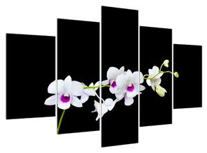 Orchidea képe (150x105 cm)