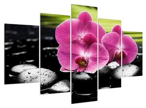 Orchidea virágok képe (150x105 cm)