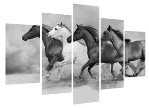 Fekete fehér kép lovakkal (150x105 cm)