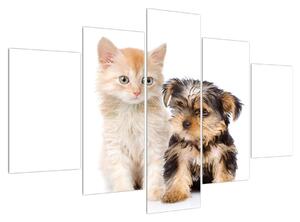 Cica és a kiskutya képe (150x105 cm)