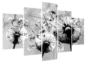 Modern kép -fekete-fehér pitypang (150x105 cm)