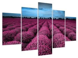 Virágos mező képe (150x105 cm)