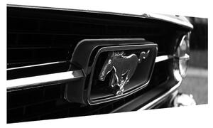 Mustang részletes képe (120x50 cm)