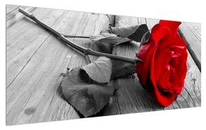Vörös rózsa képe (120x50 cm)