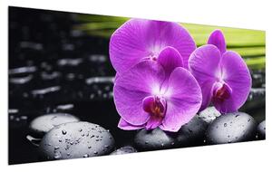 Orchideák képe (120x50 cm)