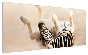 Fekvő zebra képe (120x50 cm)