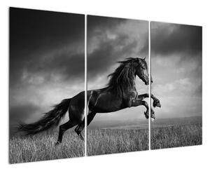 Modern képek (120x80cm)