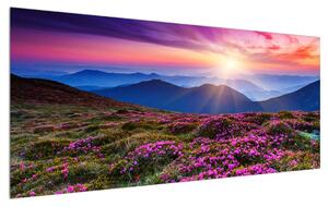 Virágzó hegyi tájkép (120x50 cm)