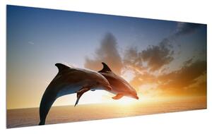 Delfinek képe (120x50 cm)