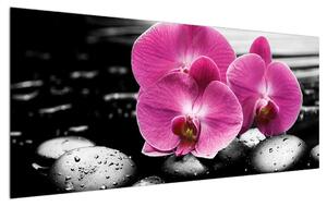 Orchidea virágok képe (120x50 cm)