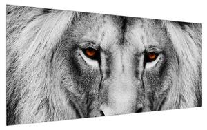 Fekete-fehér oroszlán kép (120x50 cm)
