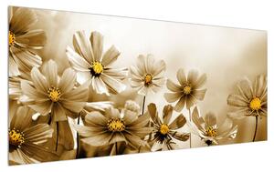 Virágos képek (120x50 cm)
