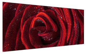 Piros rózsa képe (120x50 cm)