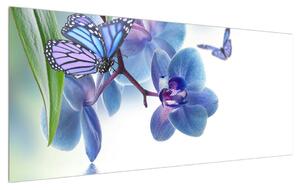 Lepke az orchideán (120x50 cm)