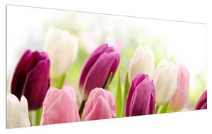 Bimbózó tulipánok képe (120x50 cm)