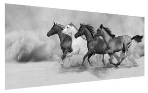 Fekete fehér kép lovakkal (120x50 cm)