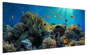 Víz alatti tengeri világ képe (120x50 cm)