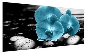 Kék orchidea képe (120x50 cm)