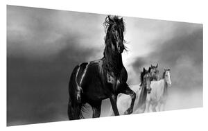 Ló képe (120x50 cm)