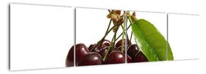 Vászonkép (160x40cm)