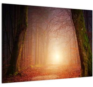 Őszi erdő képe a ködben (70x50 cm)
