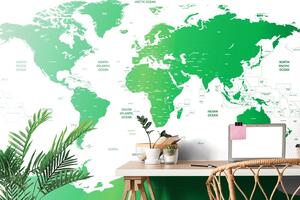 Öntapadó tapéta világtérkép az egyes államokkal zöld színben