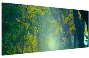 Fákkal szegélyezett út képe (120x50 cm)
