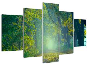 Fákkal szegélyezett út képe (150x105 cm)