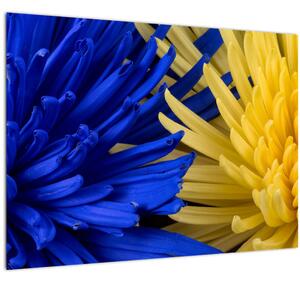 Kép - virág részlet (70x50 cm)