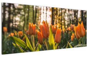 Kép - tulipánok (120x50 cm)