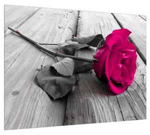Rózsaszín rózsa képe (70x50 cm)