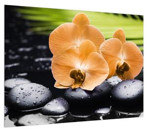 Orchidea képe (70x50 cm)